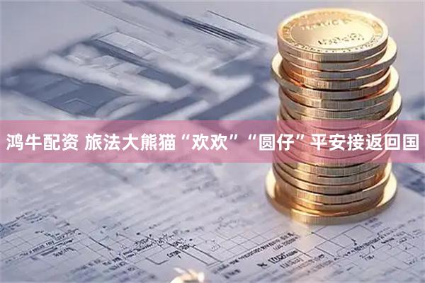 鸿牛配资 旅法大熊猫“欢欢”“圆仔”平安接返回国
