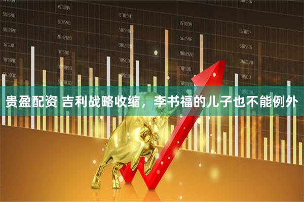 贵盈配资 吉利战略收缩，李书福的儿子也不能例外
