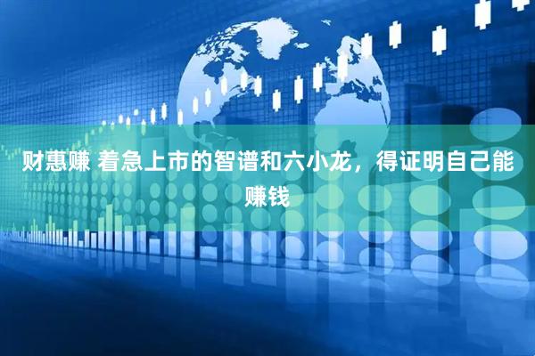 财惠赚 着急上市的智谱和六小龙，得证明自己能赚钱