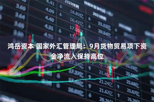 鸿岳资本 国家外汇管理局：9月货物贸易项下资金净流入保持高位