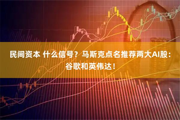 民间资本 什么信号？马斯克点名推荐两大AI股：谷歌和英伟达！