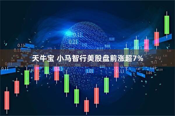 天牛宝 小马智行美股盘前涨超7%