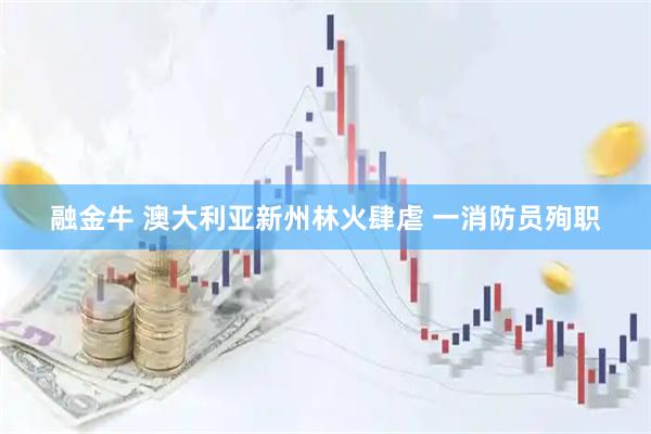 融金牛 澳大利亚新州林火肆虐 一消防员殉职