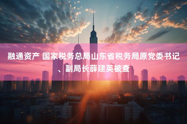 融通资产 国家税务总局山东省税务局原党委书记、副局长薛建英被查