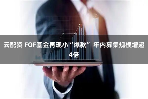 云配资 FOF基金再现小“爆款” 年内募集规模增超4倍