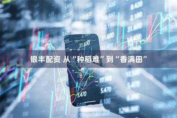 银丰配资 从“种稻难”到“香满田”