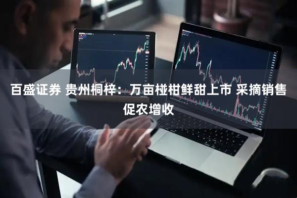 百盛证券 贵州桐梓：万亩椪柑鲜甜上市 采摘销售促农增收