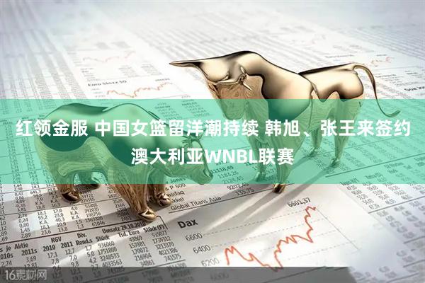 红领金服 中国女篮留洋潮持续 韩旭、张王来签约澳大利亚WNBL联赛